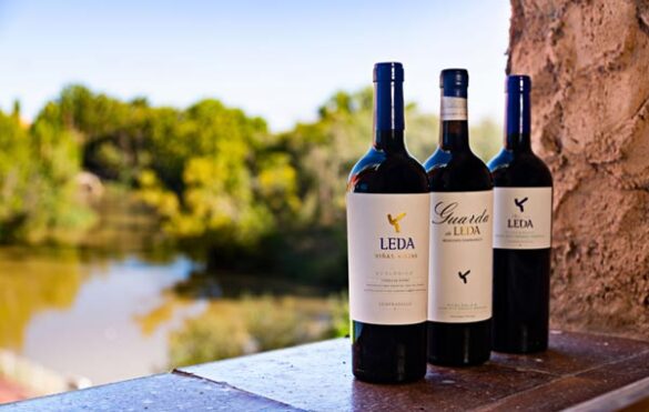 Tecnovino- Bodegas Leda: vinos ecológicos multiterroir