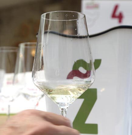 Tecnovino- concurso de vinos Zarcillo International Wine Awards, Itacyl, inscripción de vinos