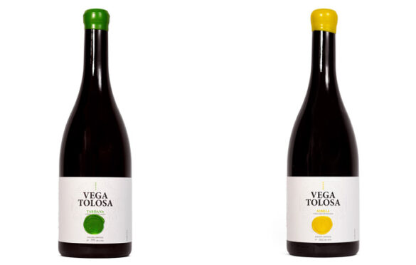 Tecnovino- vinos Tardana y Albilla de Vega Tolosa