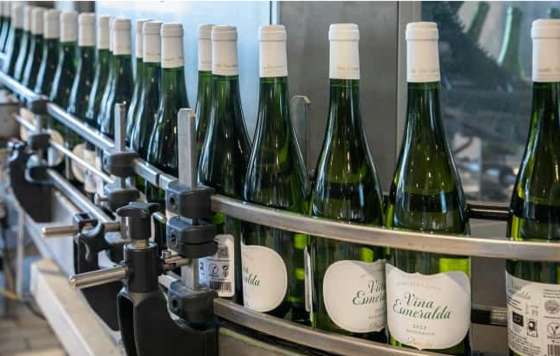 Tecnovino- proyecto VINIA, Familia Torres y BitMetrics, embotellado de vino