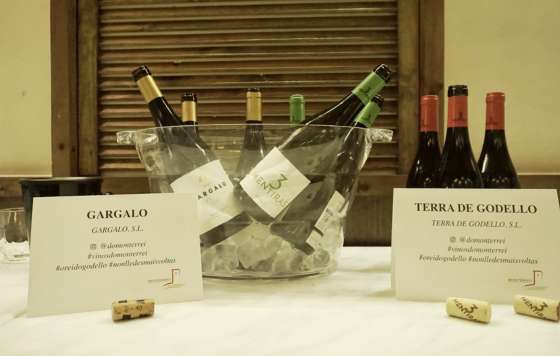 Tecnovino- Denominación de Origen Monterrei