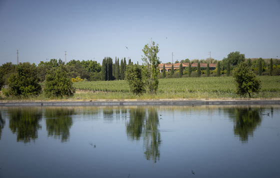 Tecnovino, Familia Torres