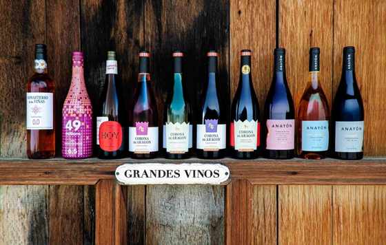 Tecnovino- Grandes Vinos, Garnacha 10, bodega D.O Cariñena