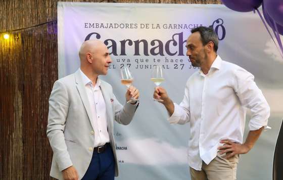 Tecnovino- Grandes Vinos, Garnacha 10, bodega D.O Cariñena