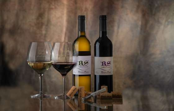 Tecnovino- Ruta del Vino Ribeira Sacra (Galicia), ACEVIN, Rutas del Vino de España