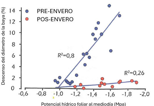 Tecnovino- exceso vegetativo de la vid estrés térmico, Lallemand, gráfico 2