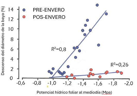 Tecnovino- exceso vegetativo de la vid estrés térmico, Lallemand, gráfico 2