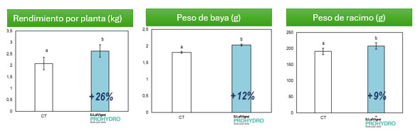 Tecnovino- exceso vegetativo de la vid estrés térmico, Lallemand, gráfico 5