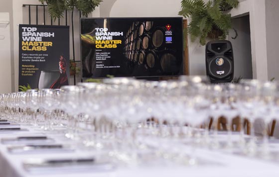 Tecnovino- vino español en México, masterclass por OIVE