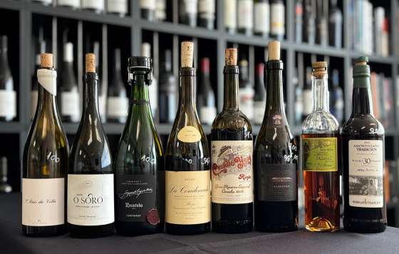 Tecnovino- 8 vinos alcanzan los 100 puntos de la Guía Peñín de los Vinos de España 2026
