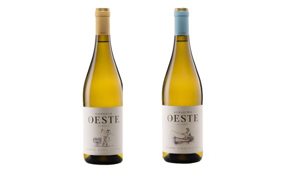 Tecnovino, Bodegas Monteabellón