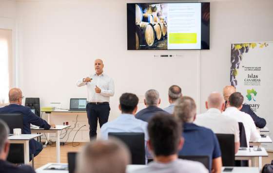 Tecnovino- DOP Islas Canarias - Canary Wine Plan Estratégico 2025–2029