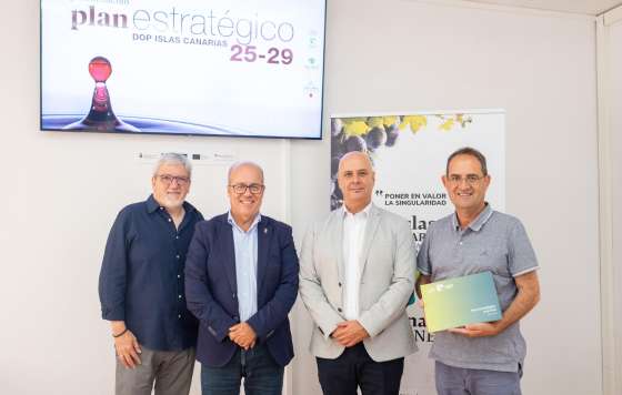 Tecnovino- DOP Islas Canarias - Canary Wine Plan Estratégico 2025–2029