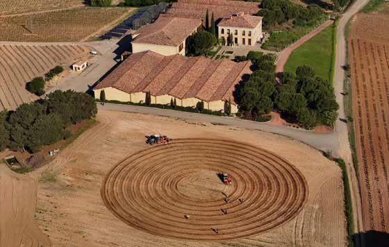 Tecnovino, bodega Torre de Oña, La Rioja Alta, S.A.