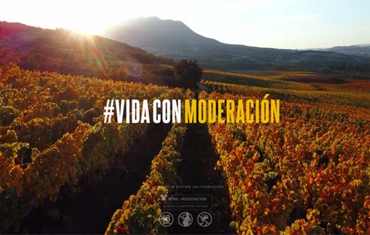 Tecnovino- campaña Vino, Interprofesional del Vino de España, Oive, 1