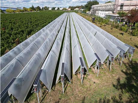 Tecnovino- protección para el viñedo heladas granizo mildiu, Viti-Tunnel