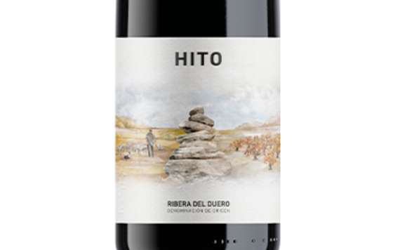 Tecnovino- Hito 2024, vino tinto de Bodegas Cepa 21