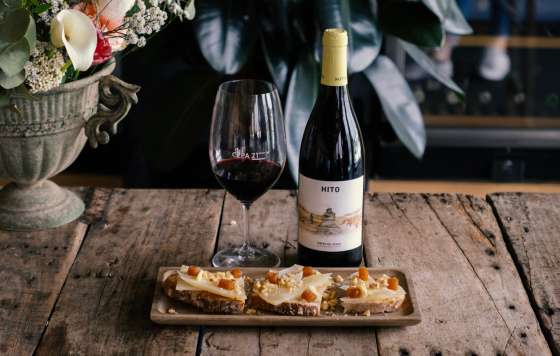 Tecnovino- Hito 2023, vino tinto de Bodegas Cepa 21