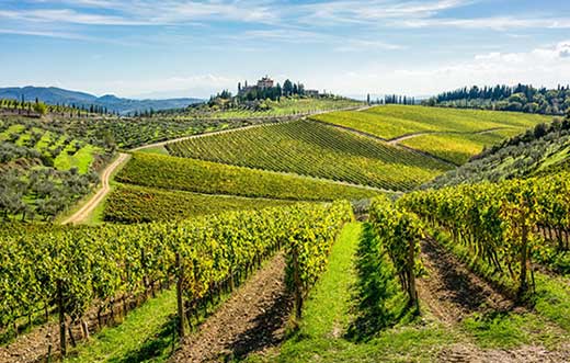 Tecnovino-vendimia 2025 Italia: Toscana, foto Ministerio Turismo Italia. Vendimia en España, Francia, Italia y Portugal
