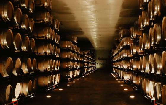 Tecnovino- Bodegas Coviñas 60 aniversario