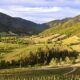 Tecnovino- Congreso Latinoamericano de Viticultura y Enología 2025, Chile