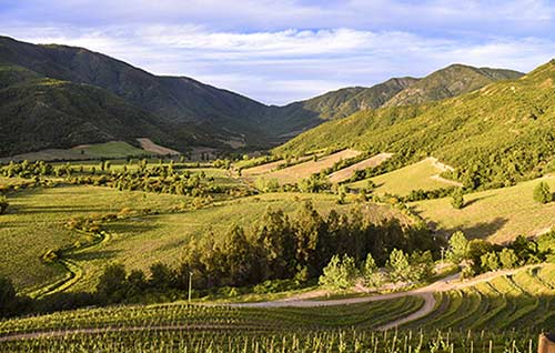 Tecnovino- Congreso Latinoamericano de Viticultura y Enología 2025, Chile