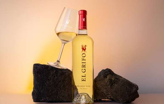 Tecnovino- El Grifo Orange Wine 2024, vino naranja ecológico sin sulfitos