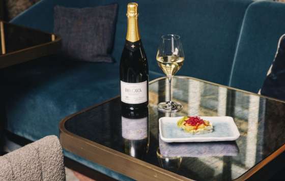 Tecnovino- Hotel Tapa Tour Madrid, cava