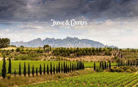 Tecnovino- Juvé & Camps, gestión con la plataforma 3DEXPERIENCE de Dassault Systèmes, digitalización bodega