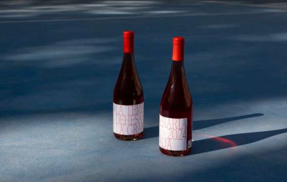Tecnovino-  La Temeraria 2024, un rosado de guarda de Dehesa La Granja