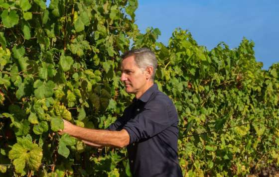 Tecnovino-bodega Santiago Ruiz inicia su primera vendimia con Chema Ureta al frente