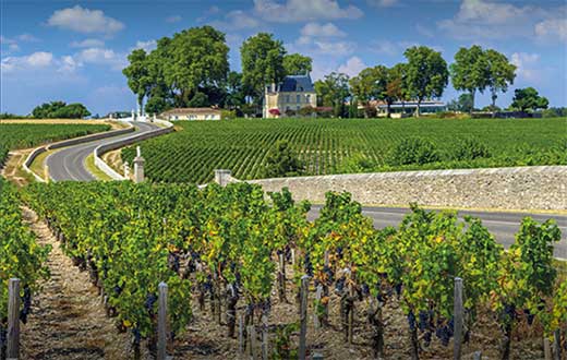Tecnovino- viñedo bordelés, vino y turistas Francia