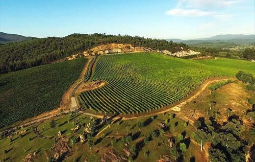 Tecnovino- Bodegas Arzuaga compra Pazo de Rubianes en Rías Baixas: viñdo