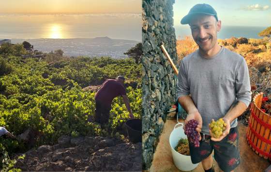 Tecnovino- El enólogo brasileño Guilherme Fornasier en Canarias