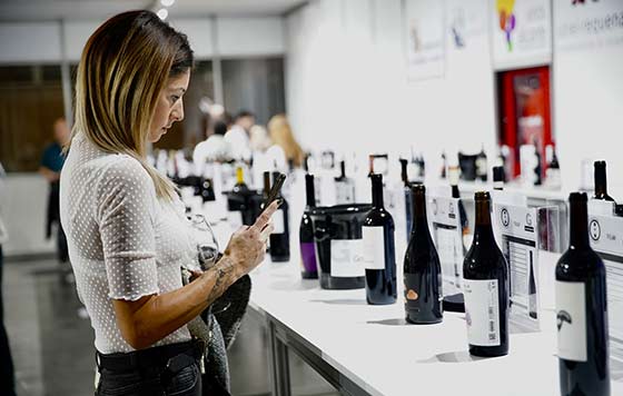Tecnovino- Gastrónoma 2025, vino, Túnel del Vino