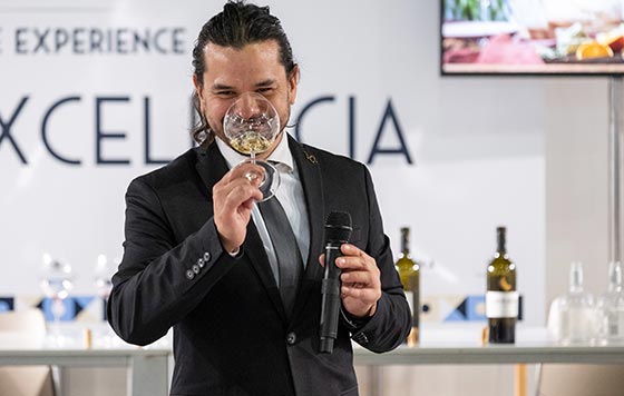 Tecnovino- Gastrónoma 2025, vino, Wine Experience