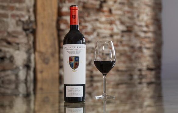 Tecnovino- Grupo Barón de Ley, Coto de Caleruega Roble 2024 de Ribera del Duero