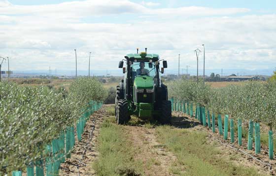 Tecnovino, Ministerio de Agricultura, Pesca y Alimentación, Maquinaria agrícola, Plan Renove