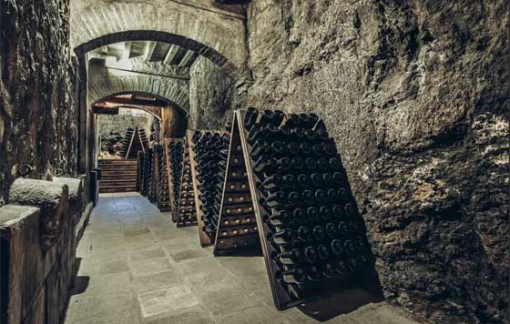 Tecnovino- Tharsys DOP bodega subterránea