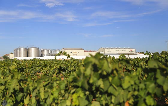 Tecnovino, bodegas alcardet