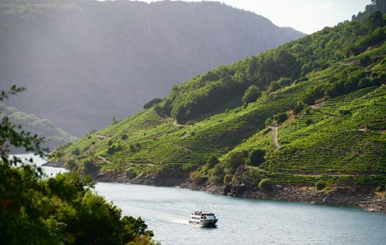 Tecnovino- vendimia 2025 Ribeira Sacra paisaje