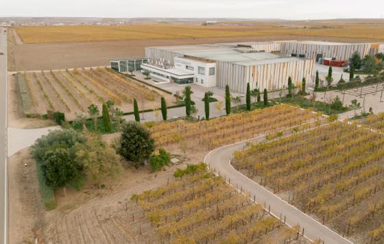 Tecnovino, Bodegas José Pariente, Pariente Vivo