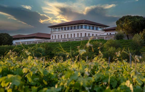 Tecnovino- Bodegas Rioja Vega: edificio y viñedo