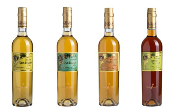Tecnovino, Colección Tío Pepe Finos Palmas, bodegas de Jerez de González Byass, Los Palmas, Jerez