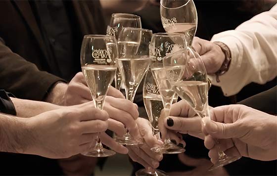 Tecnovino- Asociación de Elaboradores de Cava de Requena: Feria del Cava Valenciano