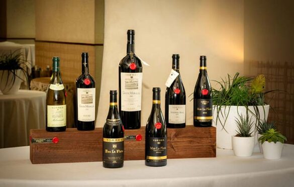 Tecnovino- Familia Torres Colección Privada, selección limitada y exclusiva de vino