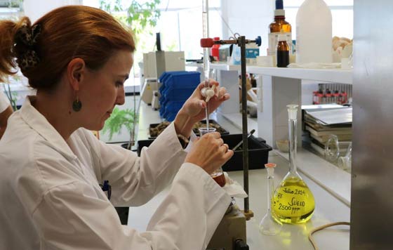 Tecnovino- Instituto de la Viña y el Vino de la ULE cuatro variedades autóctonas de León