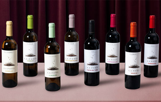 Tecnovino, La Poda, Bodega Directa, Entrecanales Domecq e Hijos