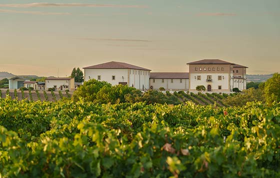 Tecnovino, Pagos de Anguix, bodega y viñedo, vino Costalara 2022