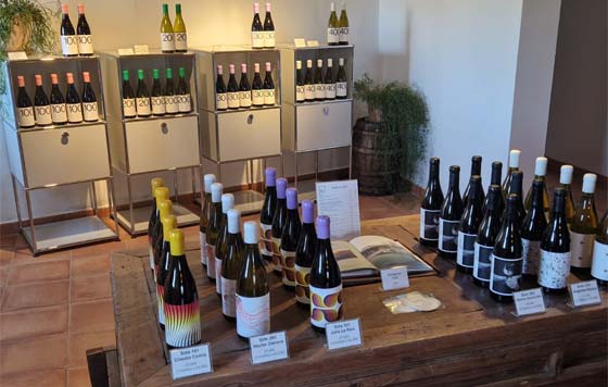 Tecnovino- creación nueva DO Matarraña para vinos del Bajo Aragon